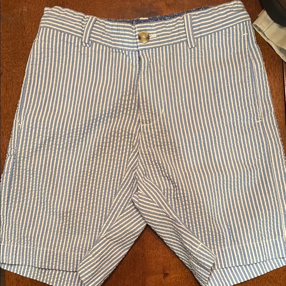 Blue Striped Men's Shorts
